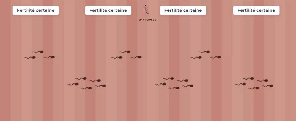 période de fertilité des hommes, en continu