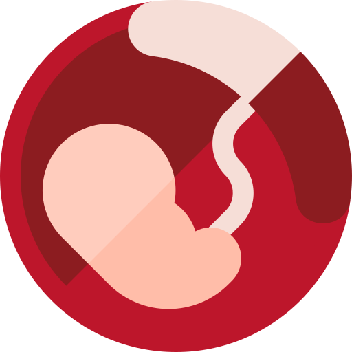 placenta et liquide amniotique