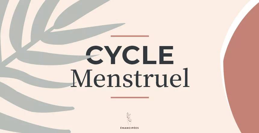 Cycle menstruel : les 4 grandes phases qui rythment notre fertilité