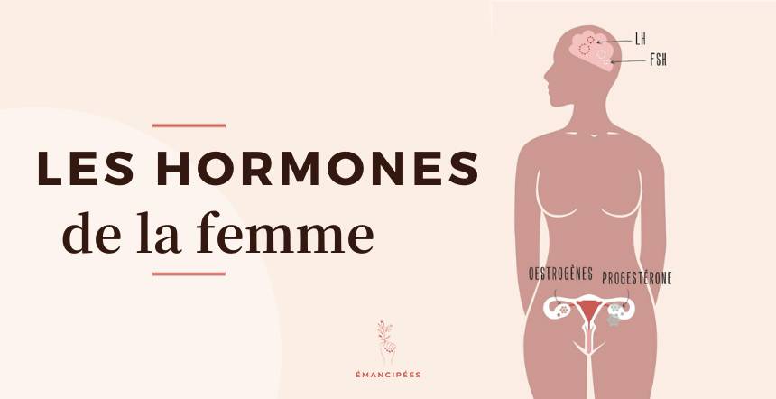 Hormones féminines : ce qu'il se passe vraiment chaque mois dans ...