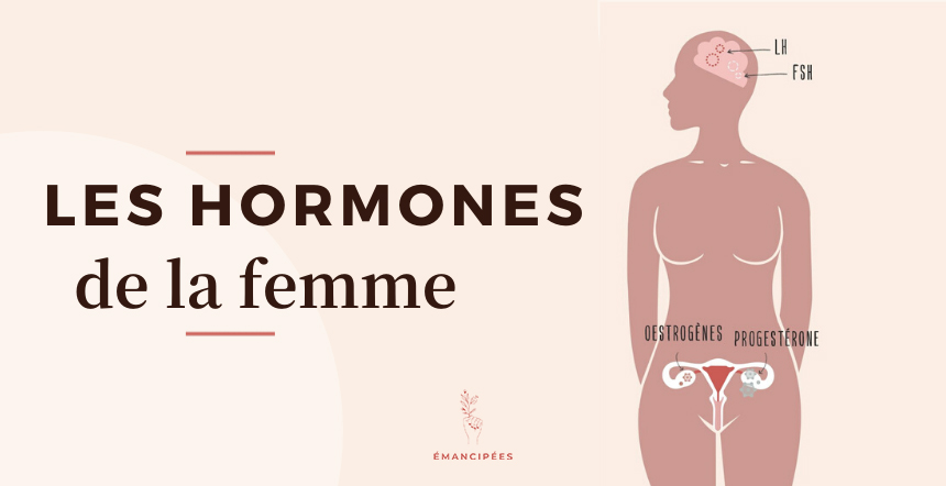 hormones féminines