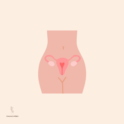 bienfaits huile d'onagre santé féminine