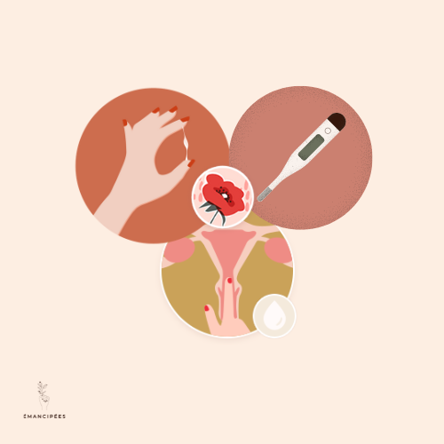 biomarqueurs ovulation