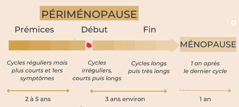 différence ménopause et pré-ménopause