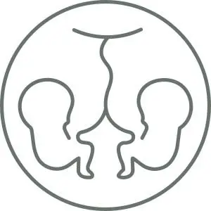 différence entre superfétation et superfécondation