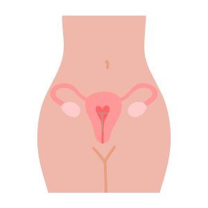 compatibilité stérilet au cuivre et symptothermie