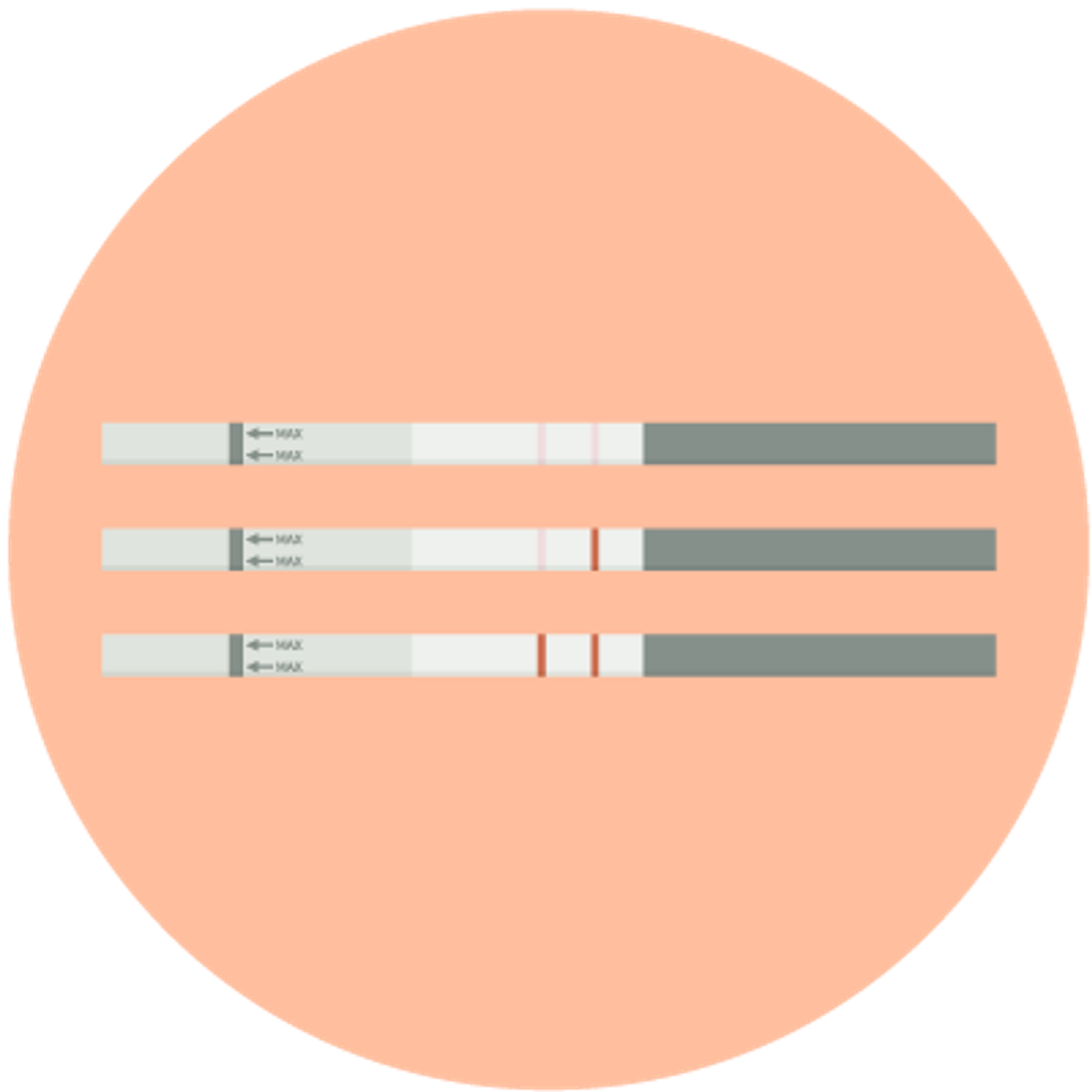 test ovulation
