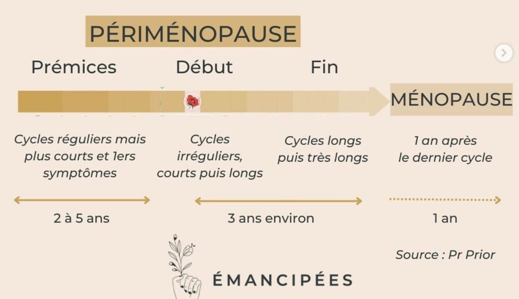 différence préménopause ménopause