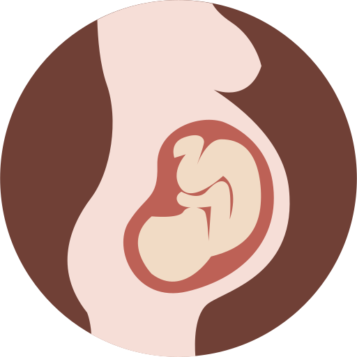 risques pilule en début de grossesse