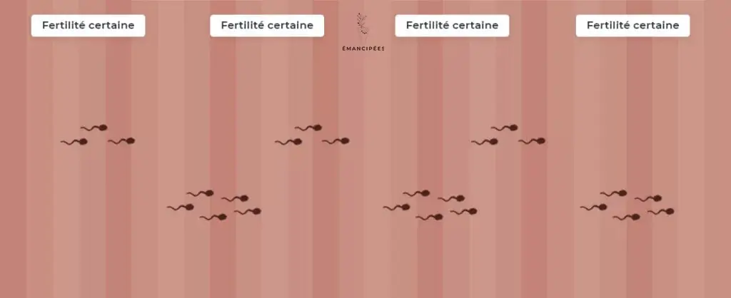 fertilité masculine
