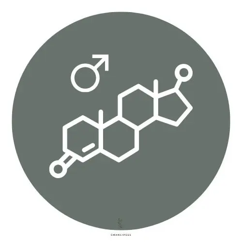 déséquilibre hormonal problèmes fertilité masculine