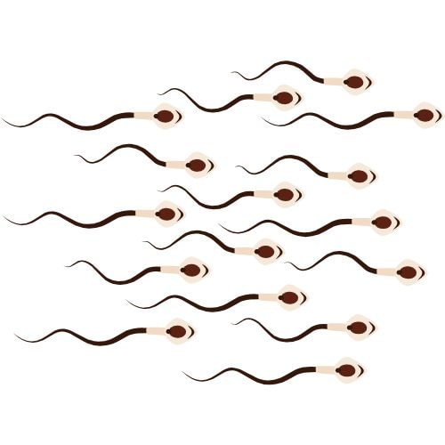 causes mécaniques problèmes de fertilité masculine