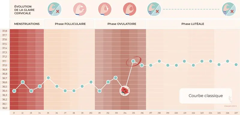 température phase lutéale