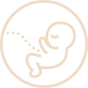grossesse biochimique