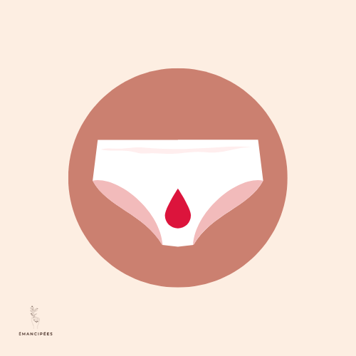 règles cycle menstruel