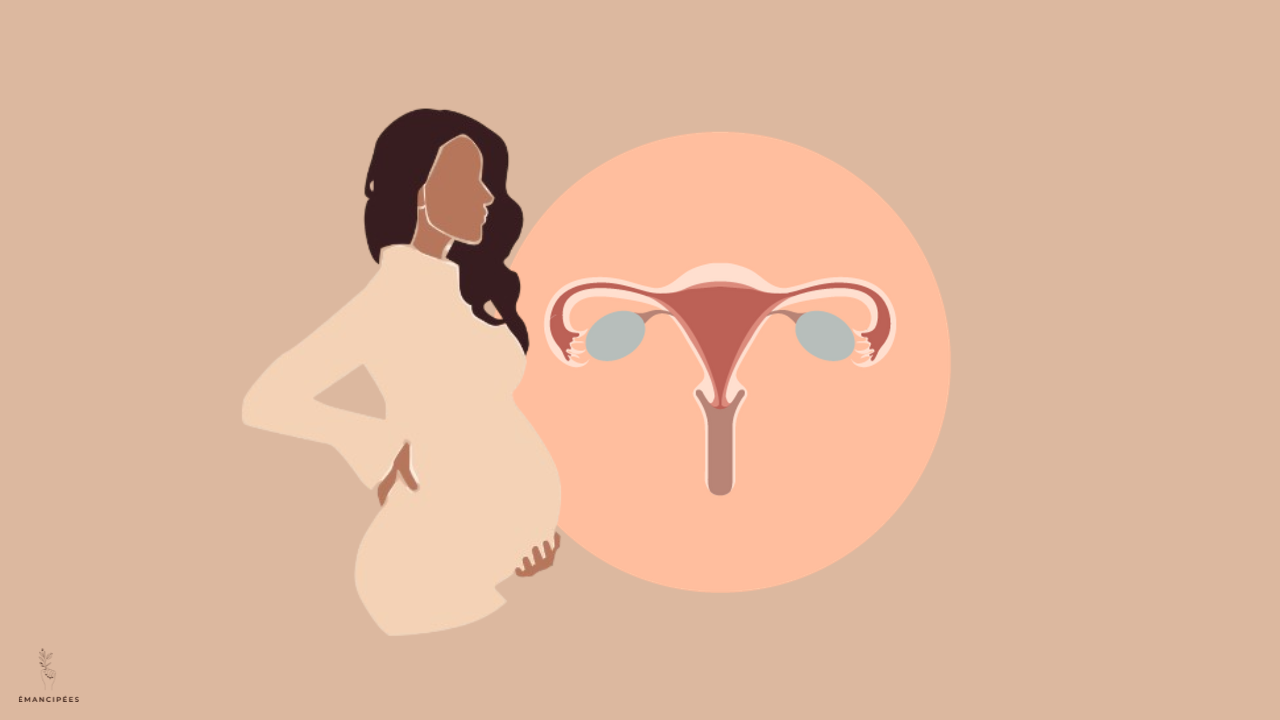 fertilité femme