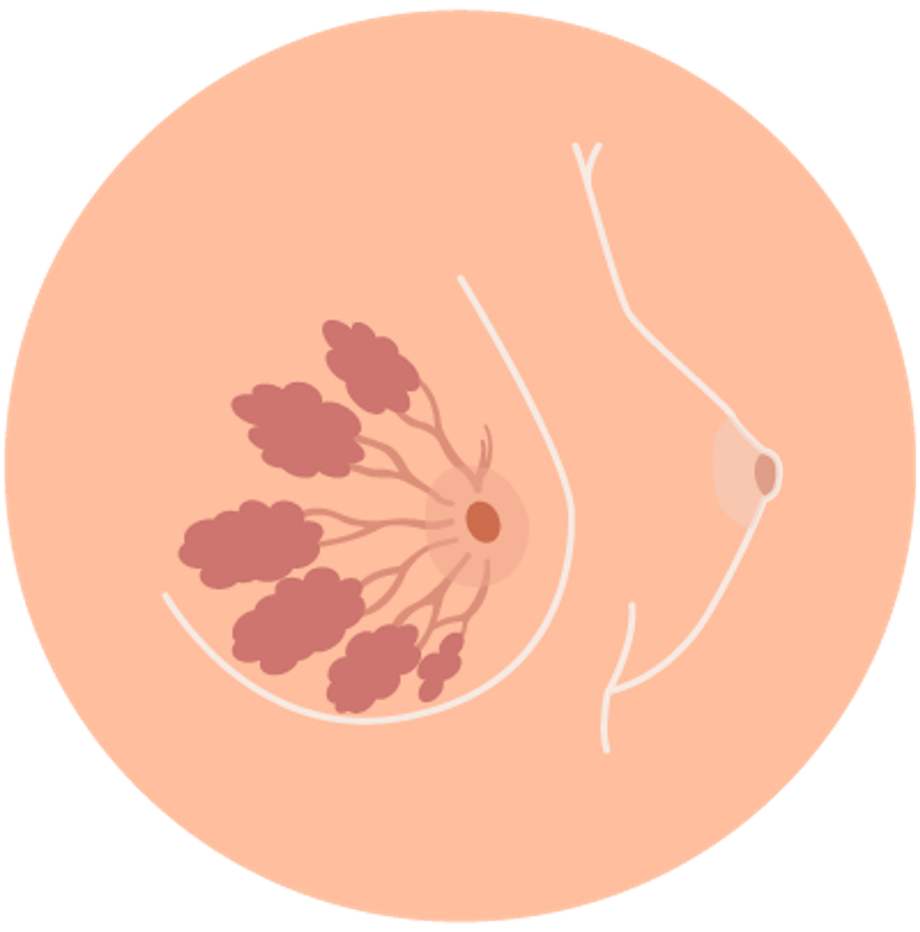 prolactine