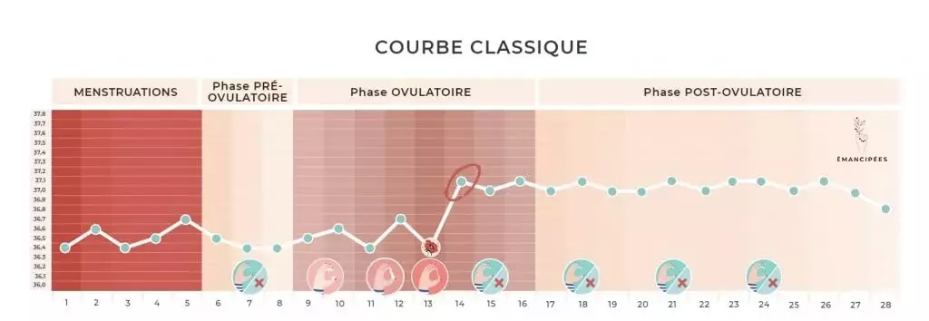 signes ovulation