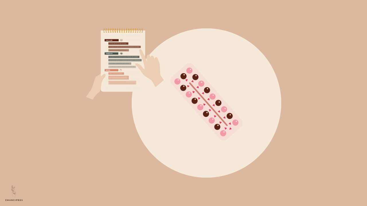 pilule contraceptive fonctionnement