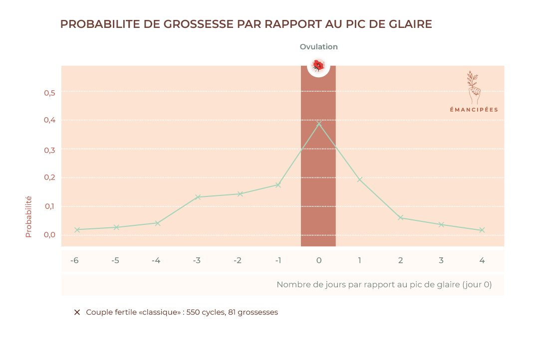 probabilité de grossesse par rapport au pic de glaire cervicale