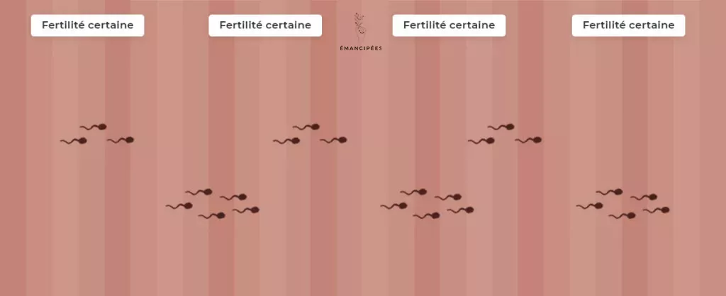 période de fertilité des hommes, en continu