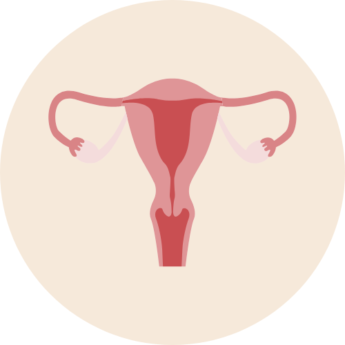examens fertilité