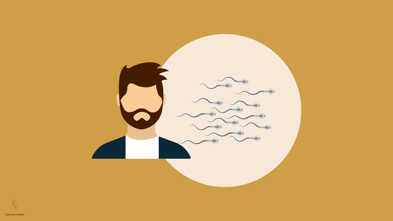 fertilité masculine