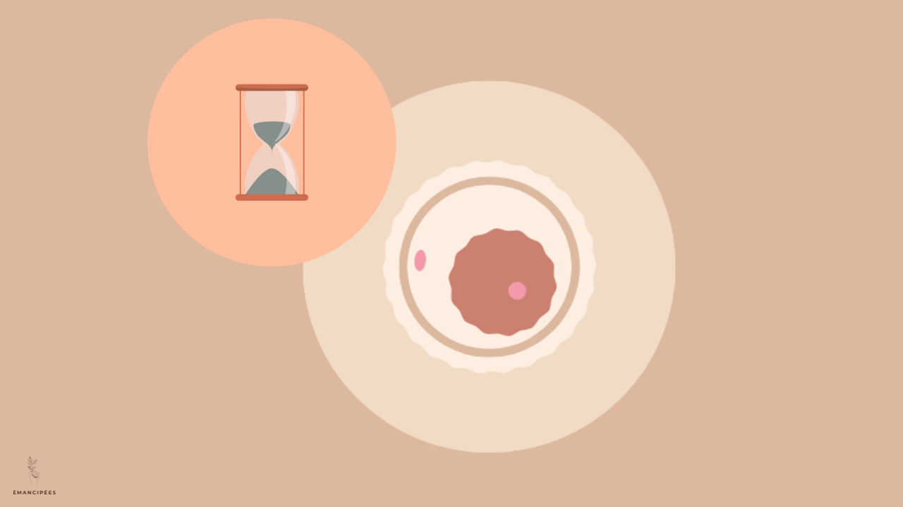 ovulation tardive