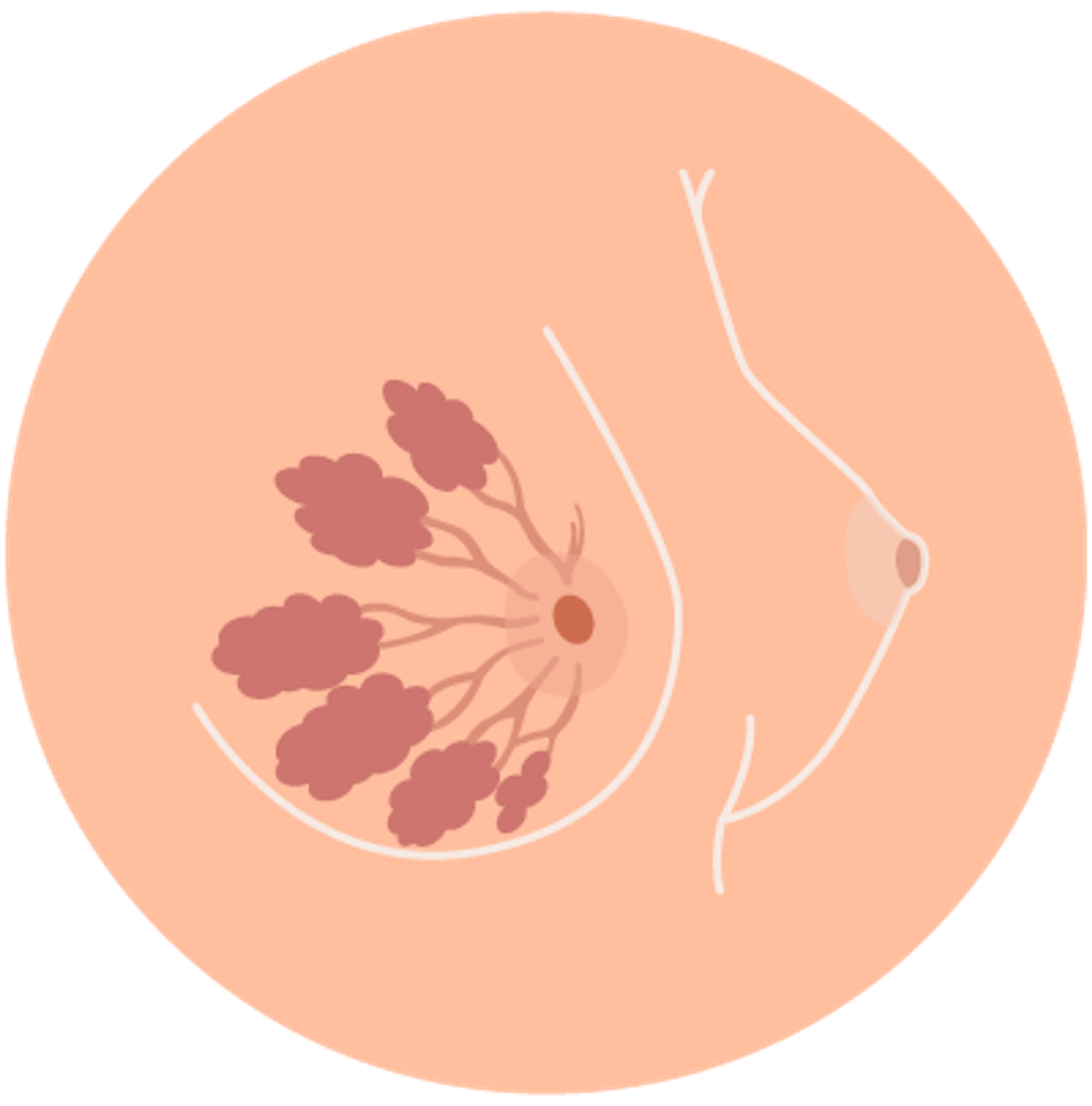 progestérone douleur sein