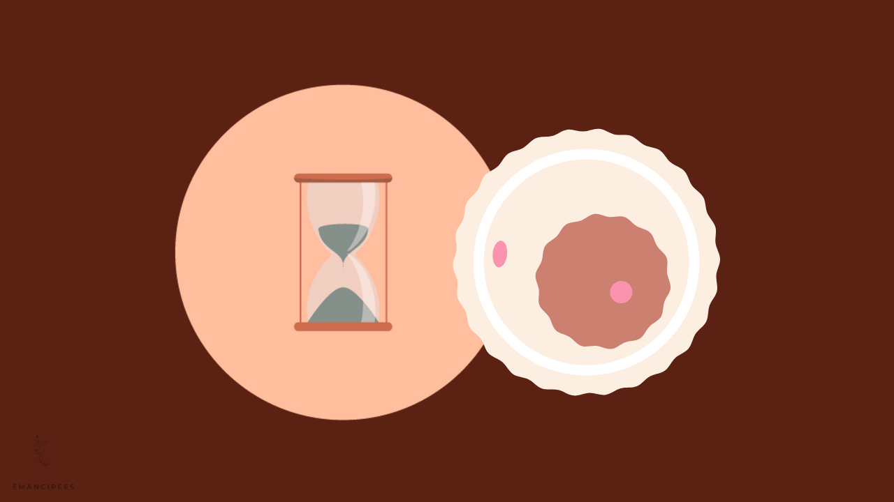 combien de temps dure une ovulation