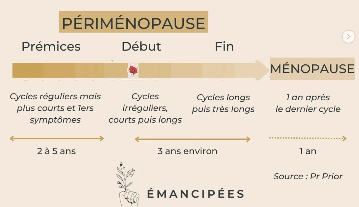 différence périménopause et ménopause