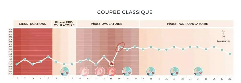 observation cycle menstruel symptothermie