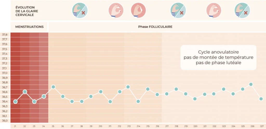 anovulation température