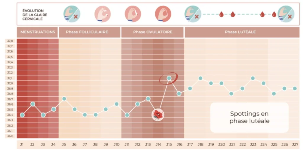 spottings premenstruels